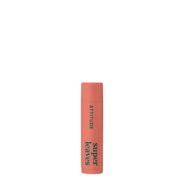 Lip Balm Duo